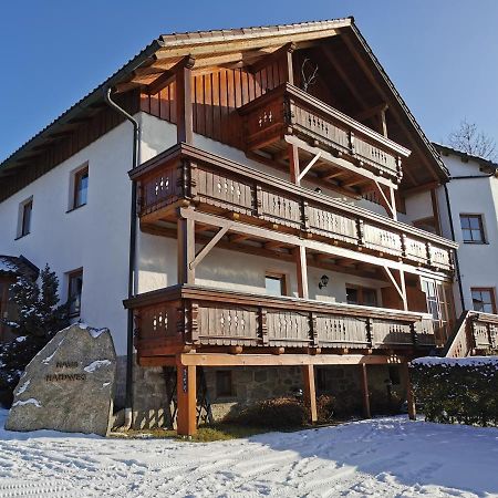 Haus Haidweg - Ferienwohnungen In Haidmuehle Im Dreilaendereck De-Cz-At Haidmühle Exterior foto
