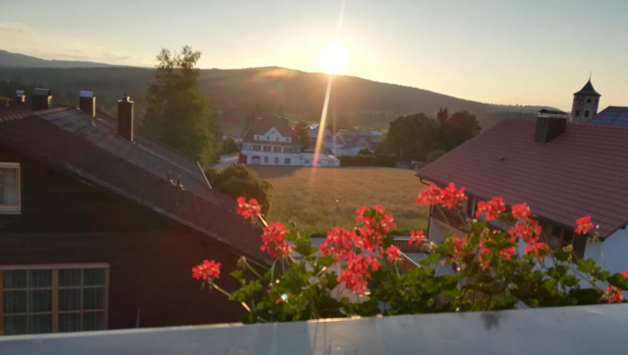 Haus Haidweg - Ferienwohnungen In Haidmuehle Im Dreilaendereck De-Cz-At Haidmühle Exterior foto