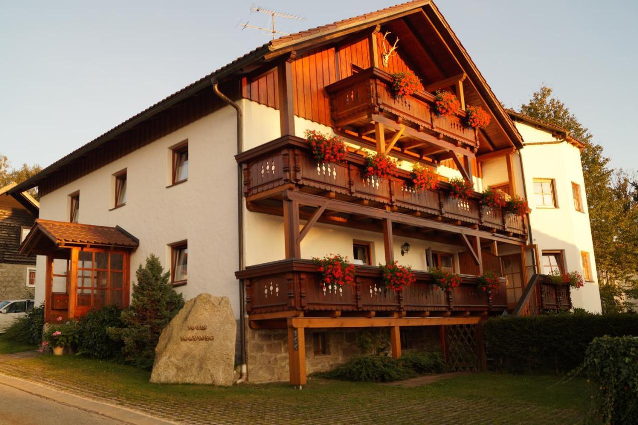 Haus Haidweg - Ferienwohnungen In Haidmuehle Im Dreilaendereck De-Cz-At Haidmühle Exterior foto